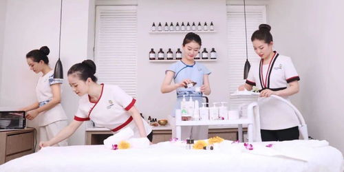 规范职业标准，助力行业提升——美容师国家职业等级认定教材技术和服务标准拍摄工作圆满完成